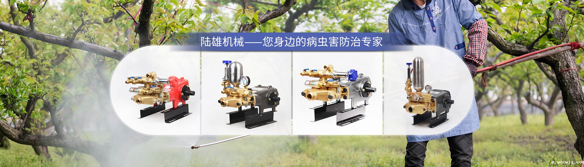 星空体育娱乐官网网址